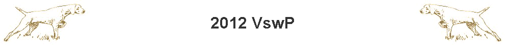 2012 VswP