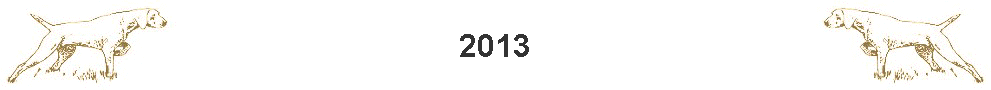 2013