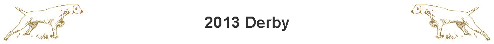2013 Derby
