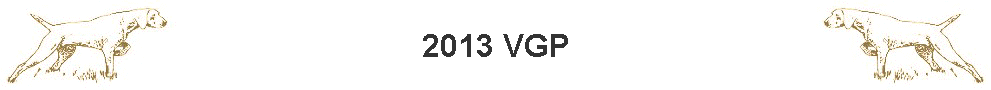 2013 VGP