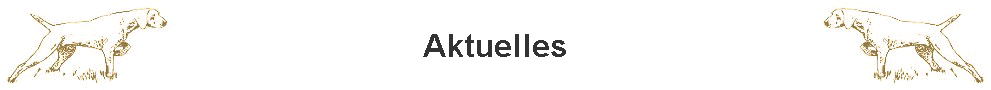 Aktuelles