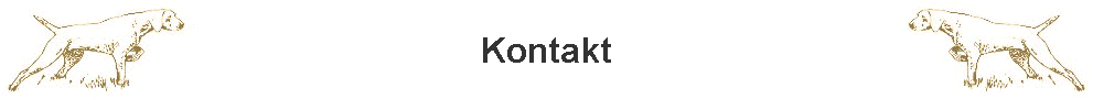 Kontakt