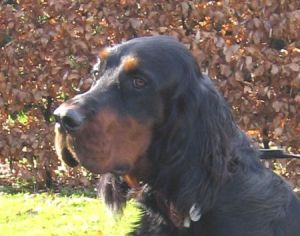 Leon mit 12 Monaten