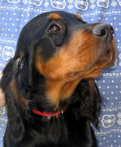 Mable 15 Wochen
