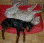 Titus mit Casper