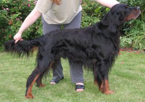 Urso mit 9 Jahren
