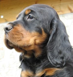 Floyd 7 Wochen