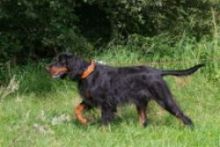 Ilka �08