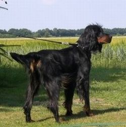 Ilka 3 Jahre alt