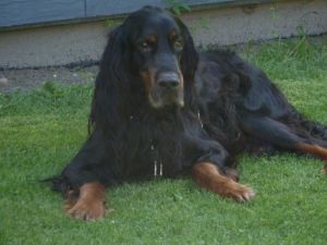 Jaimy 10 Jahre alt