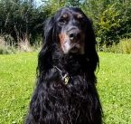 Jola 11 Jahre