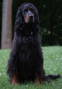 Jola Dez. 08