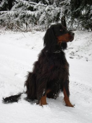 Jola Winter 07