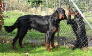 Leon mit Schwester Lonny 12 Monate alt