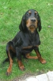 Mable gen. Lilli in ihrem neuen Zuhause