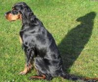 Mable