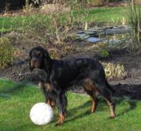 Mable