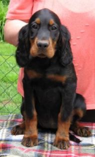 Mabel 12 Wochen