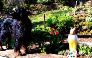 Marlow zu Ostern