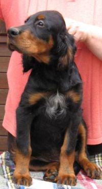 Moritz 12 Wochen