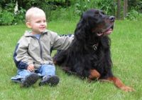 Richard 2 J.und Urso 11 J.,die dicksten Freunde