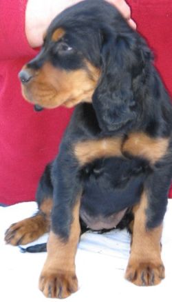 Rieke 9 Wochen