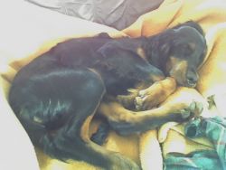 Sammy 21.04.07