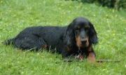 Sammy 270507