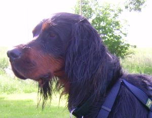 Sammy Kopf 08 