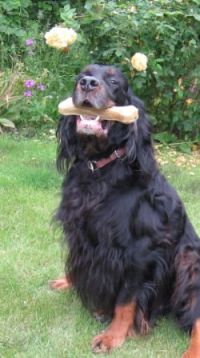 Urso 11 Jahre alt mit seinem Geschenk