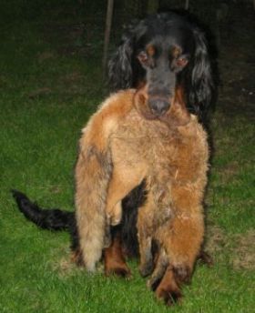 Monty mit einem Fuchs 5 kg schwer Aug.09