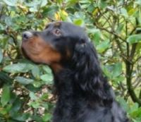 Monty Okt.09