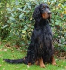 Monty Okt.09