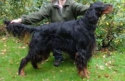 Monty Okt.09