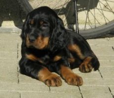 Fiona 7 Wochen