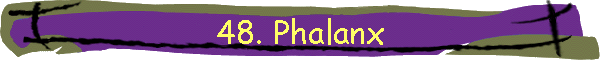 48. Phalanx