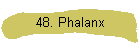 48. Phalanx