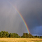 Regenbogen