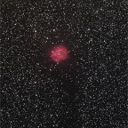 NGC5146 Cocoonnebel