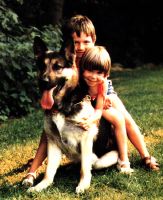 Mädchen mit Schäferhund