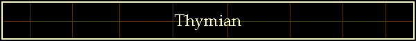 Thymian