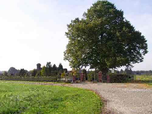 friedhof.jpg