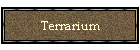 Terrarium