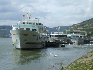 Rhein11