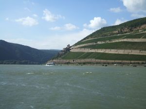 Rhein8