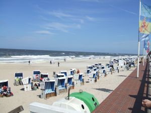 sylt8