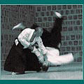 Dynamic Aikido