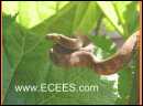 PICT0015.JPG