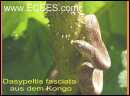 PICT0019.JPG
