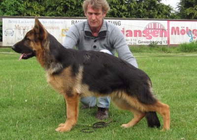 Sir von Gut Lethe     R�de